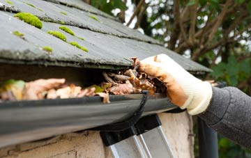 gutter cleaning Palmers Green